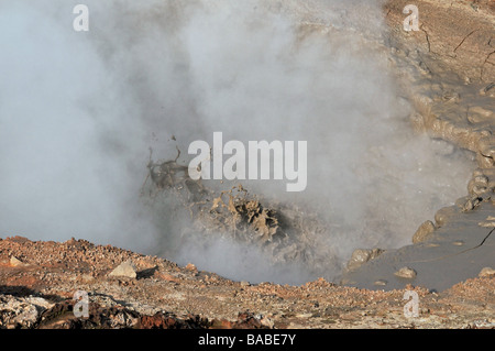 Kochende, stinkenden Schlamm Topf (Solfatara) Reykjadalur, Hveragerdi hohe Temperatur geothermische Gebiet, Süd-West-Island Stockfoto