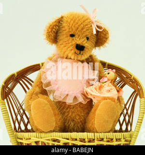 Mini Rosa Baby Mädchen Teddy (Mini tragen Sammlung) Stockfoto