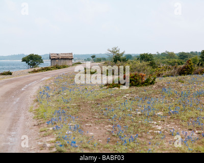 Ein Bootshaus durch eine Contry-Straße-Öland Schweden Stockfoto