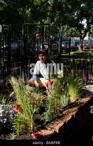 Hispanic italienische Landschaftsgestaltung Architekt in angehobener Mehrjährig Blumen Garten für Apartment Gebäude in Chicago Illinois arbeiten Stockfoto