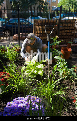 Hispanic/italienische Landschaftsgestaltung Architekt in angehobener Mehrjährig Blumen Garten für Apartment Gebäude in Chicago Illinois arbeiten Stockfoto