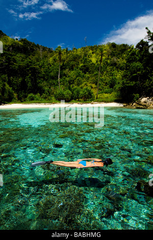 Schnorcheln in Papua, Indonesien, weibliche Taucher, Raja Empat, Bikini, klares Wasser, Flachwasser, Fotosub, gute Sicht Stockfoto
