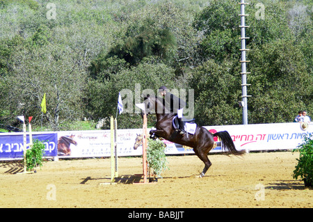 Israel Alonim Pferd Springprüfung Stockfoto