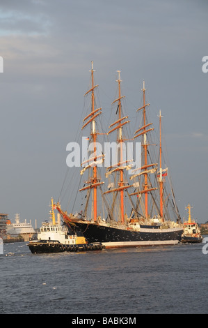 Die vier-Mast-Russion Segeln Schiff "Sedov" im Hamburger Hafen durch die untergehende Sonne beleuchtet. gezeichnet von einem Schleppschiff Möwen Stockfoto