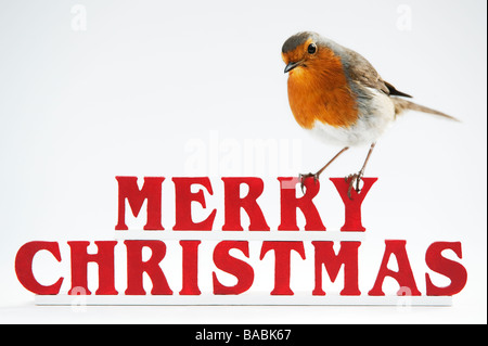Robin auf Frohe Weihnachten Briefe Stockfoto