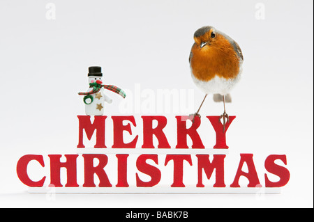 Robin auf Frohe Weihnachten Briefe mit Schneemann Stockfoto