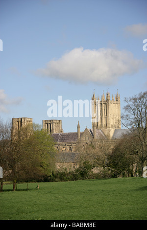 Stadt der Brunnen, England. Die Südansicht der Wells Cathedral betrachtet aus dem Park. Stockfoto