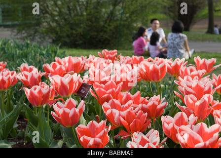 Familie der Brooklyn Botanic Garden genießen, an einem schönen Frühlingstag Stockfoto