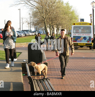 Cardiff South Wales GB UK 2009 Stockfoto