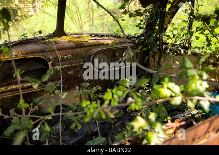 Innenraum eines Bedford LKW gehen wir zurück zur Natur Stockfoto