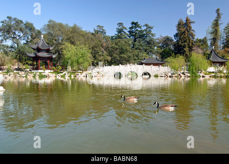 Chinesischer Garten mit Steinbrücke, Pagode und zwei Gänse schwimmen Stockfoto