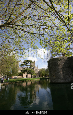 Stadt der Brunnen, England. Der Wassergraben und Nord-Westturm des bischöflichen Palastes mit Wells Cathedral im Hintergrund. Stockfoto