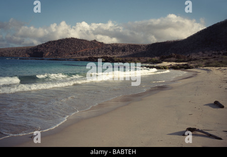 Galapagos-Inseln. Insel Floreana. Mehl-Strand. Stockfoto