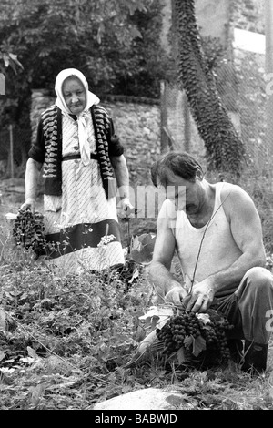 Brianza Geschichtsbild 1960 1970 Stockfoto