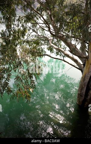 Reflexionen auf der Oberfläche der Embalse del Conde de Guadalhorce Stausee in der Nähe von Ardales, Andalusien, Spanien, Europa, Stockfoto