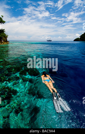 Schnorcheln in Papua, Indonesien, weibliche Taucher, Raja Empat, Bikini, klares Wasser, Flachwasser, Fotosub, gute Sicht, Ozean Stockfoto