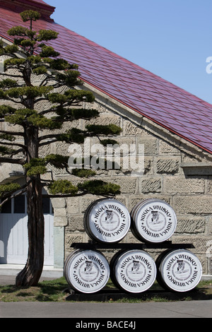 Nikka Yoichi single-Malt Whisky-Destillerie in Yoichi Hokkaido Japan auf Donnerstag, 16. April 2009 Stockfoto