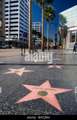 Sterne auf dem Hollywood walk Fame, Kalifornien, USA Stockfoto