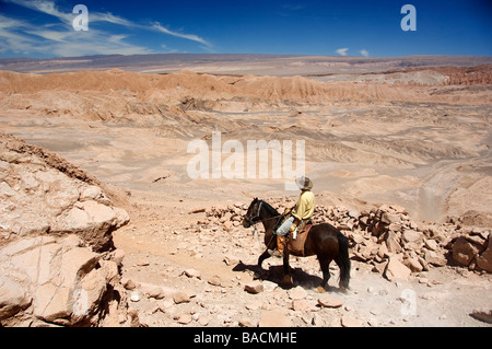 Chile, Atacama-Wüste, Rancho Kaktus, Reiten, überqueren den Passo del Toro (Pass des Stiers), der Spur folgen ein Stockfoto