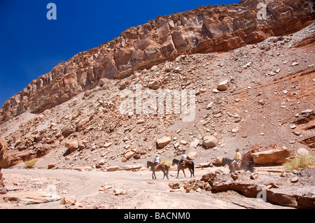 Chile, Atacama-Wüste, Rancho Kaktus, Reiten in der Coca-Tal Stockfoto