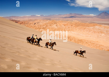 Chile, Antofagasta Region, Altiplano, Atacama-Wüste, Umgebung von San Pedro de Atacama, Rancho Kaktus, Reiten Stockfoto
