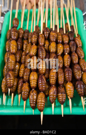 Exotische Speisen vom Grill wie Insektenlarven für den Verkauf von Ständen, Donghuamen Yeshi Nachtmarkt, Peking, China Stockfoto