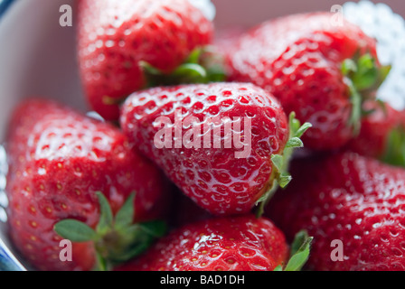 Markt frische Erdbeeren in einem antiken Schmelz collander Stockfoto