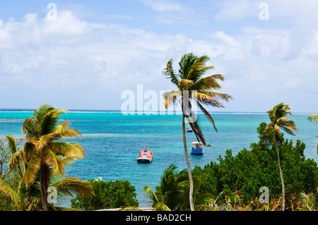 Carriacou Grenadinen Grenada Stockfoto