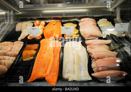 Fische zeigen in Vitrine im Supermarkt Stockfoto