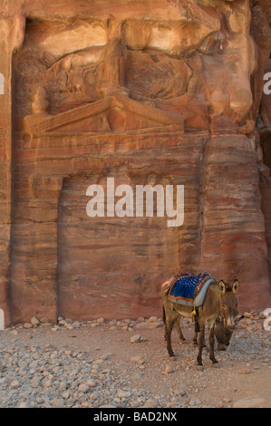 Geschnitzte Figur, die Darstellung der Nabatäer Tempel in rosa Sandstein in der antiken Stadt der Nabatäer von Petra Jordanien Stockfoto