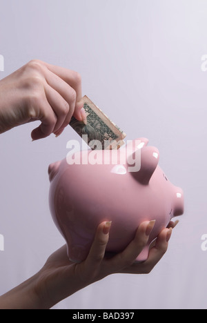 Einfügen einer Dollarnote in ein rosa Sparschwein Frau Stockfoto