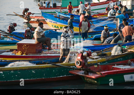 Angelboote/Fischerboote Nagapattinam Tamil Nadu, Indien Stockfoto