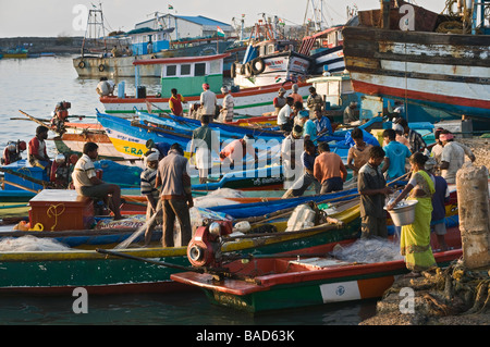 Angelboote/Fischerboote Nagapattinam Tamil Nadu, Indien Stockfoto