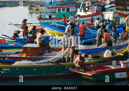 Angelboote/Fischerboote Nagapattinam Tamil Nadu, Indien Stockfoto