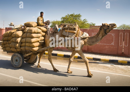 Mann reitet auf einem Kamel gezogenen Wagen entlang einer Straße, Bikaner, Rajasthan, Indien Stockfoto