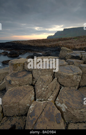 Die Giants Causeway in County antrim Stockfoto