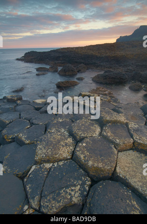 Die Giants Causeway in County antrim Stockfoto