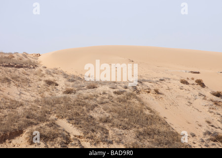 Klimawandel verursachten Desertifikation in der Provinz Shanxi, Nordchina, Sanddünen bedecken Land einmal bewirtschaftet Stockfoto