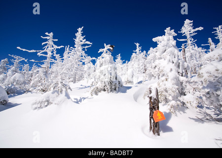 Kanada, Quebec Provinz, Estrie Region, Mont Megantic Nationalpark, Wald und Schnee bedeckte Bäume, Schneeschuh Wanderung Zeichen Stockfoto