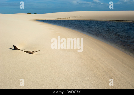 Sanddünen und Regenwasser Seen in Santo Amaro, Lencois Maranhenses National Park, Maranhao, Brasilien Stockfoto