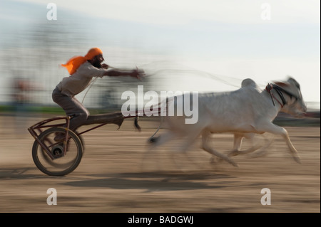 Attaboy Stockfoto