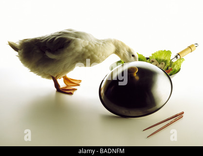 Ente und wok Stockfoto