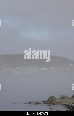 Nebel über Hafen, Twillingate, Neufundland, Kanada Stockfoto