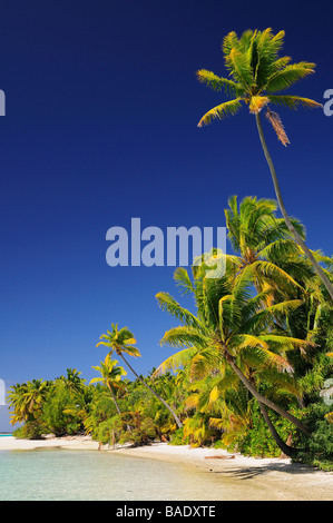 Strand, One Foot Island, Aitutaki Lagune, Aitutaki, Cook-Inseln Stockfoto