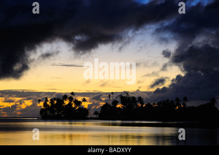 Silhouetten der Bäume bei Sonnenaufgang, Raiatea, Französisch-Polynesien Stockfoto