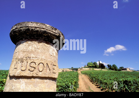 Gironde, Frankreich, Saint Emilion, Bordeaux Vineyard, die Eingang-Markierung des Weinbergs und das Château Ausone Premier Grand Cru Stockfoto