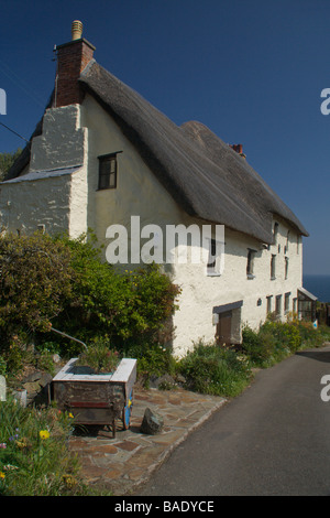 Reetdach-Ferienhaus in Kirche Bucht, in der Nähe von Lizard, Cornwall, England Stockfoto