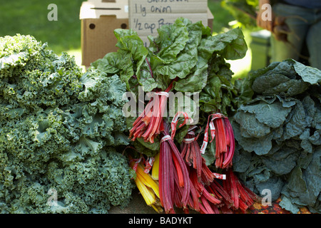 Mangold zum Verkauf an Bio Bauernmarkt Stockfoto