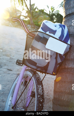 Fahrrad gegen Baum am Strand, Belize Stockfoto