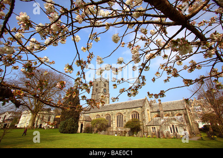 St. Eustachius, Pfarrkirche Tavistock, Devon, England. Stockfoto